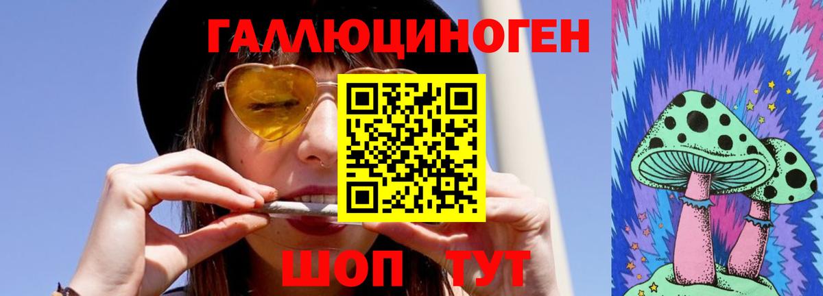 купить наркоту  Вход с VPN  Гусев  Псилоцибиновые грибы Psilocybine cubensis 